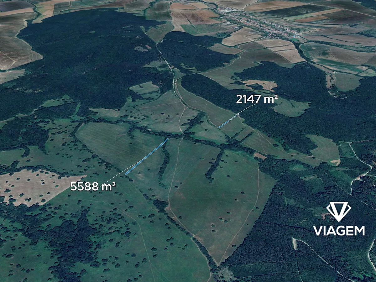 Prodej podílu 1/4 pole 1933 m²